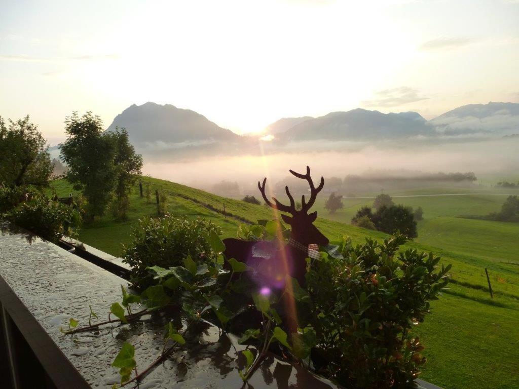 Alpenlodge Allgaeu 5* Ofterschwang Ngoại thất bức ảnh